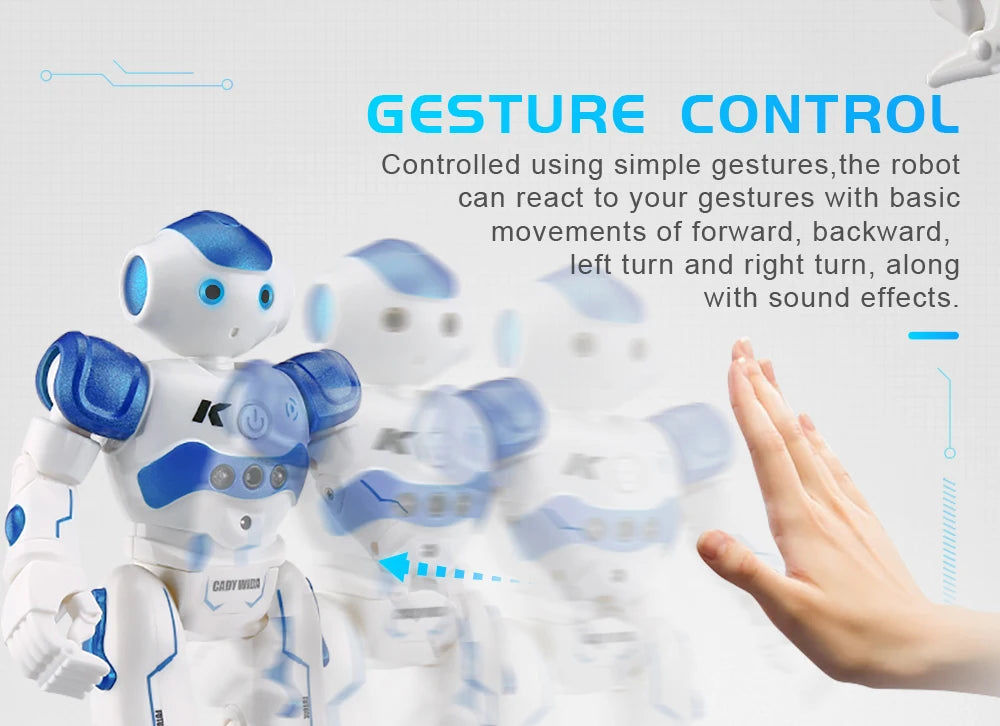 Interactive Remote Control Robot with Gesture Sensing