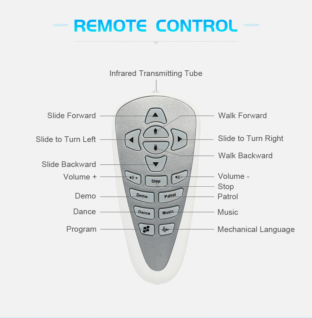 Interactive Remote Control Robot with Gesture Sensing