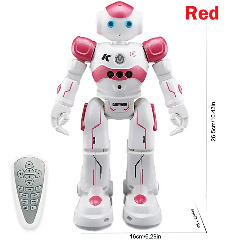 Interactive Remote Control Robot with Gesture Sensing