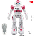 Interactive Remote Control Robot with Gesture Sensing