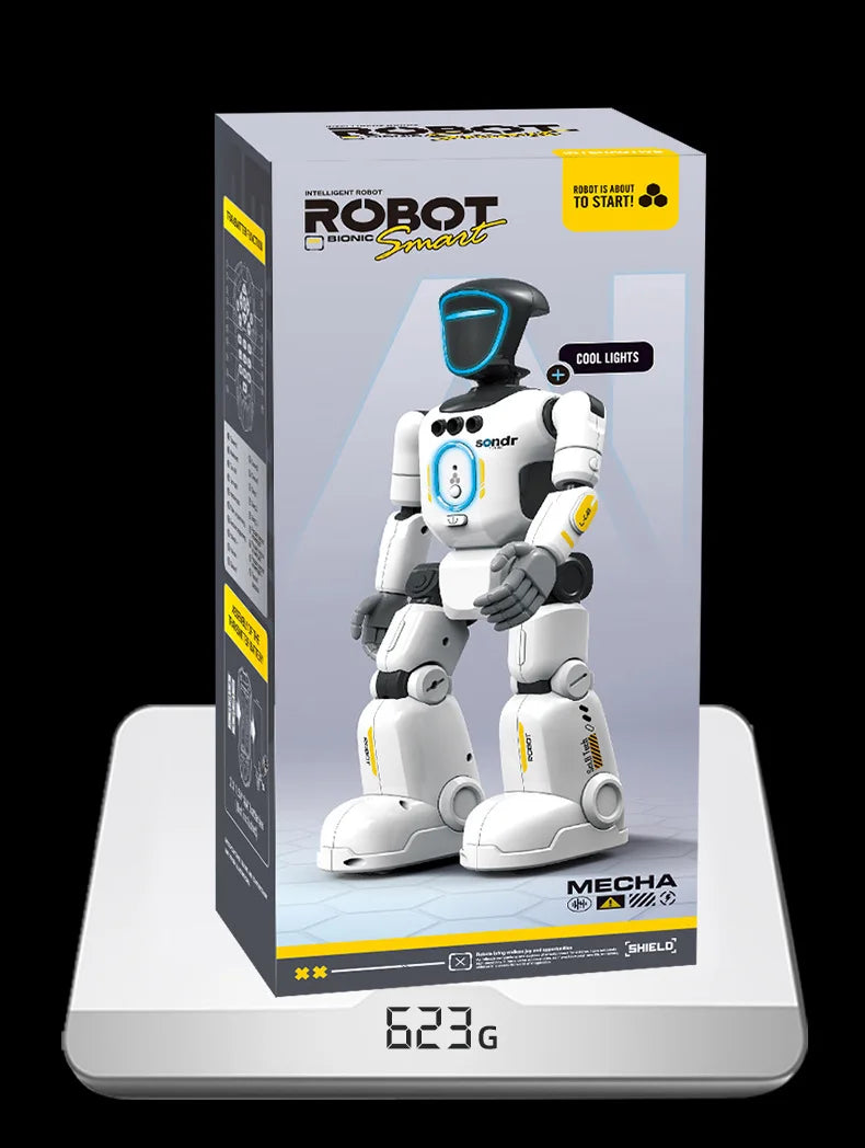 Interactive Remote Control Robot with Gesture Sensing
